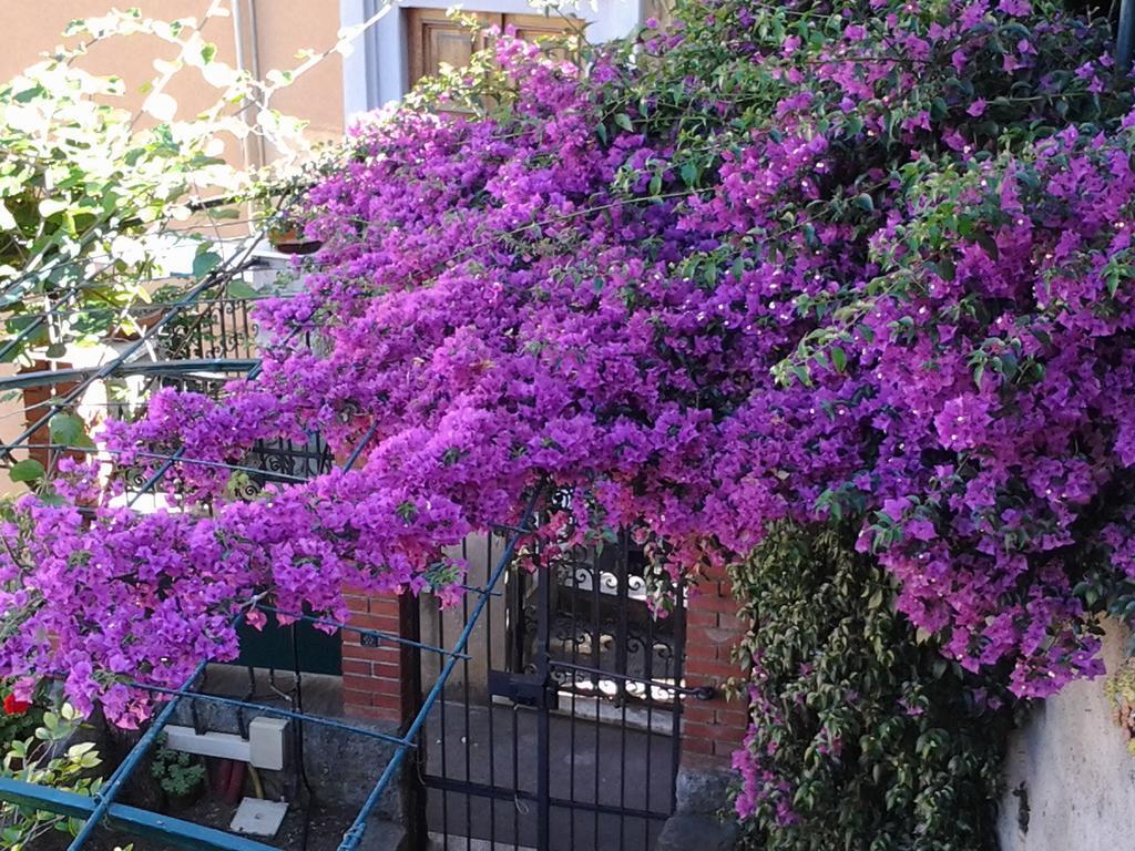 Casa Bouganville La Spezia Esterno foto