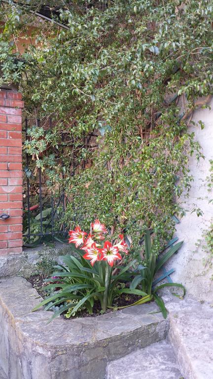 Casa Bouganville La Spezia Esterno foto