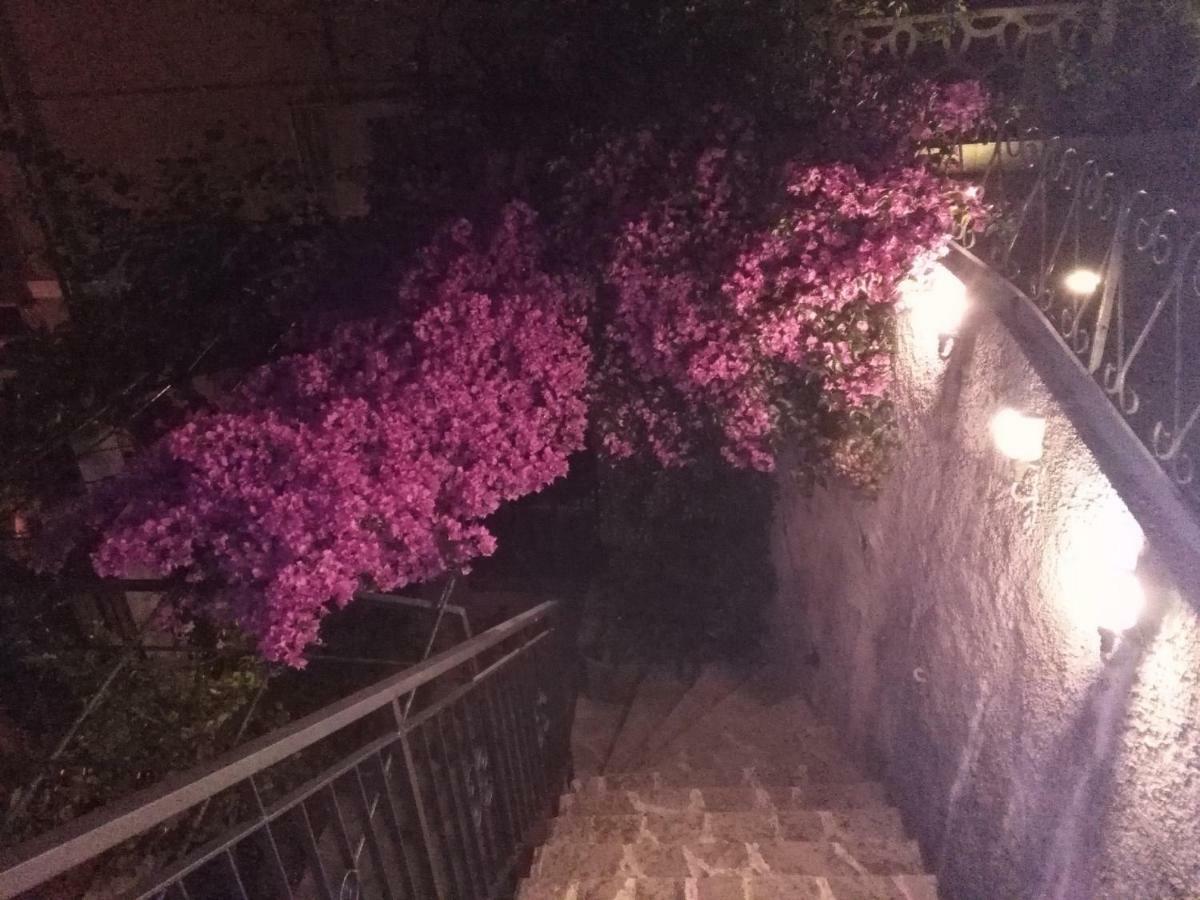 Casa Bouganville La Spezia Esterno foto